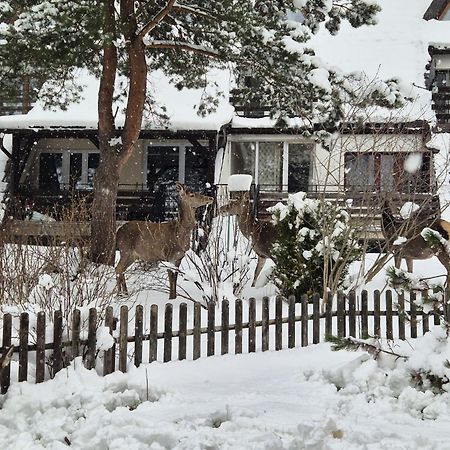 Apartament Wokol Stolu Zakopane Exterior foto